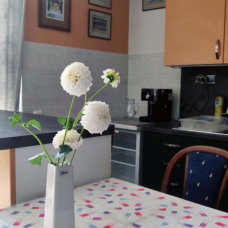 Zlín Apartman Ulehla מראה חיצוני תמונה