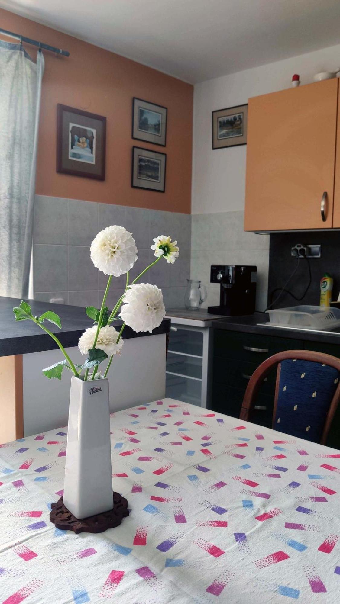 Zlín Apartman Ulehla מראה חיצוני תמונה